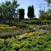 Moon Valley Nurseries gallery