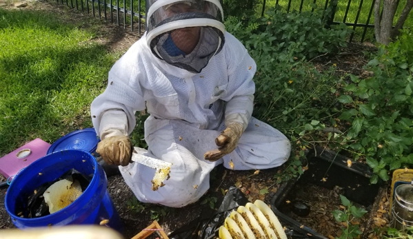 Jackass Honey Farms - Liberty Hill, TX