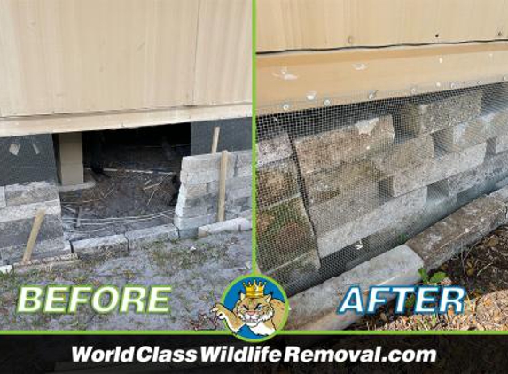 World Class Wildlife Removal & Rodent Remediation - Holiday, FL