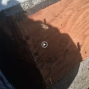 Apa Bee Removal - Pest Control Services