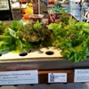 Brick Farm Market gallery