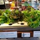 Brick Farm Market - Fruit & Vegetable Markets