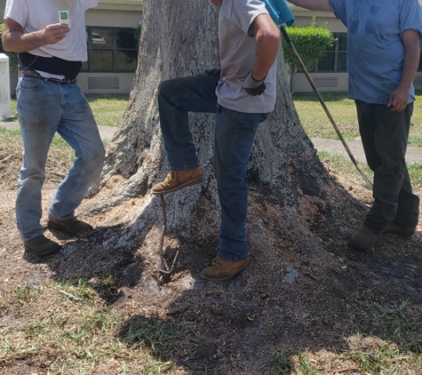 Joe's Tree Service - Plant City, FL