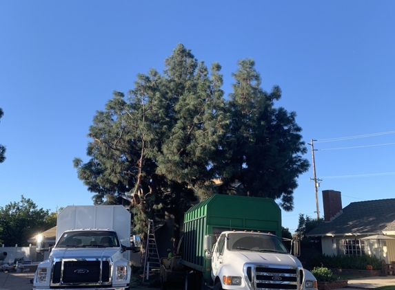 Premier Tree Experts - Orange, CA