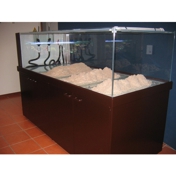 Gallery Image Number 5
