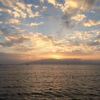 Lahaina Fish Co gallery