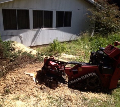 Adams Tree Services - St Leonards, TAS. Stump Grinding Service Available