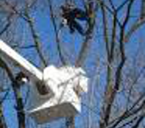 Knoll & Son's Tree Service - Michigan City, IN