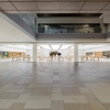 Apple Ridgedale gallery