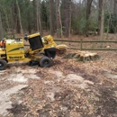 M&M Stump Grinding, LLC - Stump Removal & Grinding