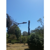 Gallery Image Number 6