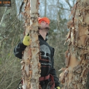 Princeton Tree Care - Tree Service