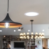 Wapiti Electric gallery