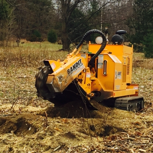 Parshall Tree Service LLC - Traverse City, MI. Stump Removal/Stump Grinding