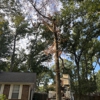 RECON Tree Service gallery