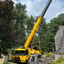 Top Notch Tree, Inc. - Tree Service