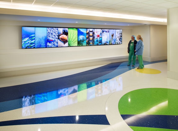 Wolfson Children's Hospital - Jacksonville, FL