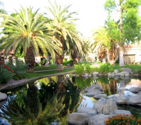 Pro Landscaping Inc. - Thousand Palms, CA