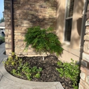 Golden Poppy Luxe - Landscape Designers & Consultants