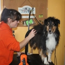 Pooches Paradise - Pet Grooming