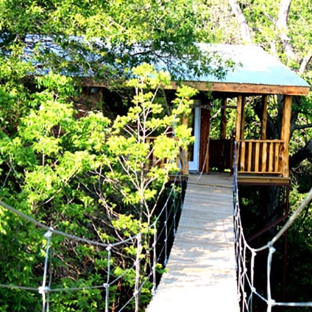 Treehouse Rehab - Scurry, TX