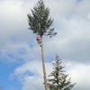 North Umpqua Tree Service gallery