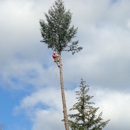 North Umpqua Tree Service - Arborists