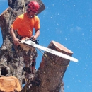Climb High Tree Care - Arborists