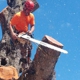 Climb High Tree Care