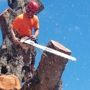 Climb High Tree Care