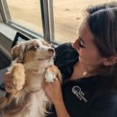 Dog Training Elite Greater Cleveland