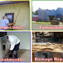 D & S Termite and Pest Control - Bee Control & Removal Service