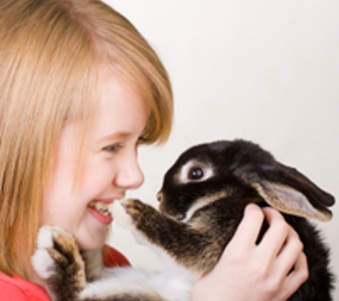 All About Pets - Citrus Heights, CA