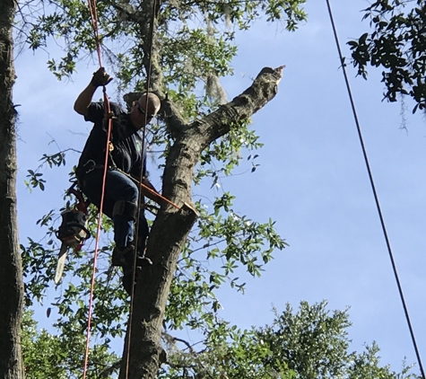 Dunkle's Tree Service - Jacksonville, FL