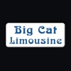 Big Cat Limousine gallery