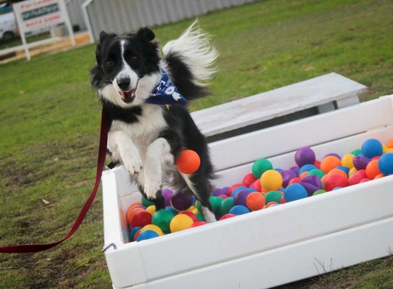 Morley Vet Boarding - Morley, WA