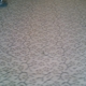 Wilton Floors