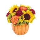 Above & Beyond Floral Design - Flowers, Plants & Trees-Silk, Dried, Etc.-Retail