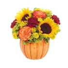 Colorado Springs Florist