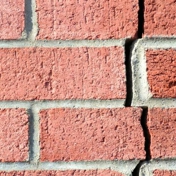 Gallery Image Number 8
