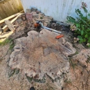 Advanced Tree Service - Snow Removal Service