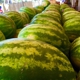 Meyer's Farm Stand