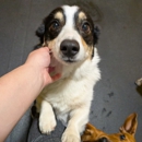 Reynolds Pet Resort - Portland - Hostels