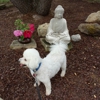 Seabrook Buddhist Temple gallery