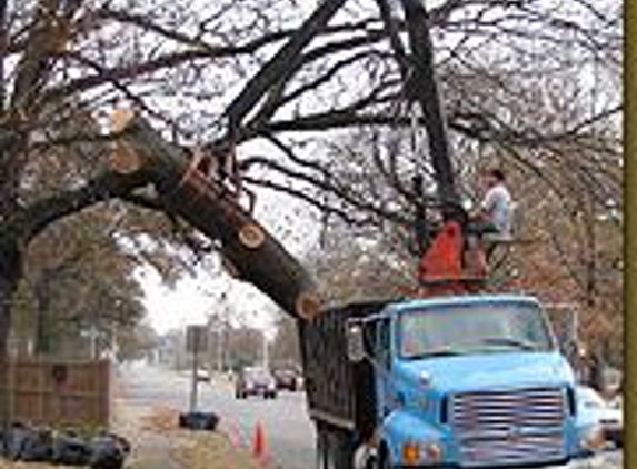 Butler Tree Service - Millington, TN