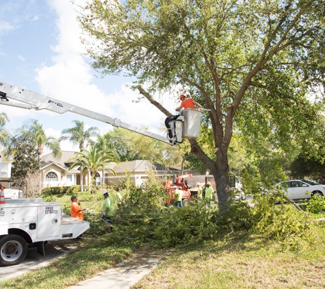 Blades Of Green - Apopka, FL