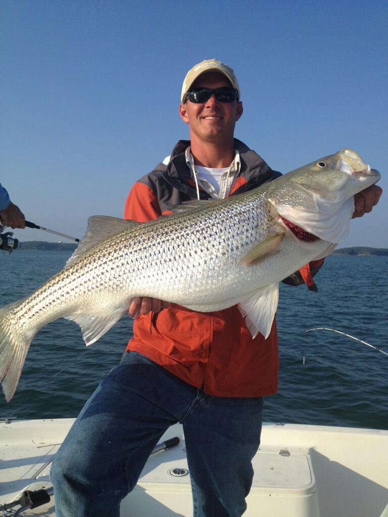 Striper Steve's Fishing Charters - Lake Lanier Fishing ...