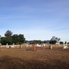 NAPA Valley Equestrian Center gallery