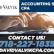 David Valvik CPA P