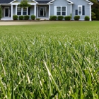 Pine Valley Turf Management